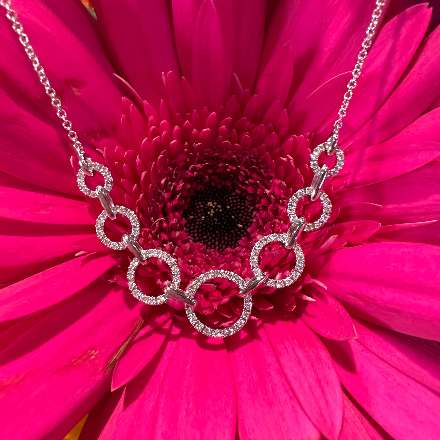 Apparel & Accessories > Jewelry > Necklaces Circle Diamond Bubbles 14K White Gold Necklace Pierce Custom Jewelers