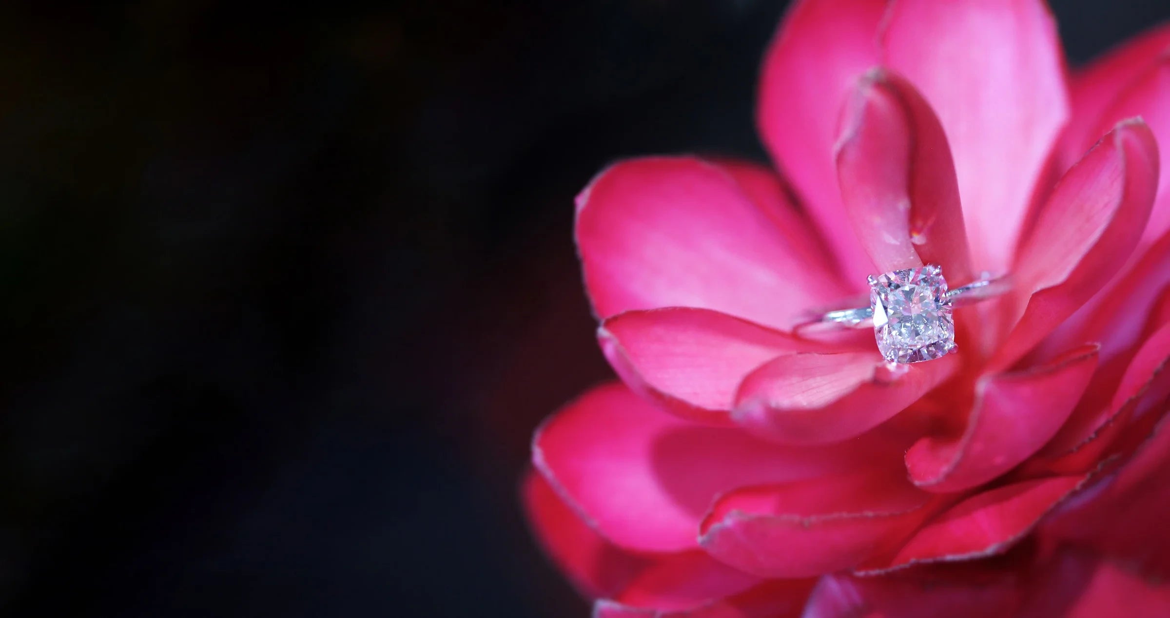 Cushion-cut diamond ring on pink flower petals.