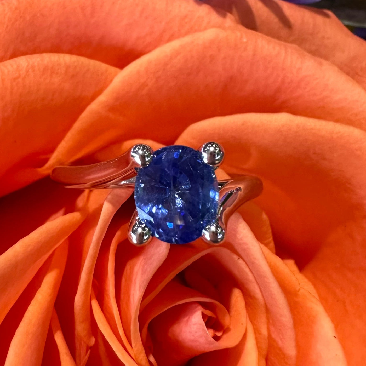 Apparel & Accessories > Jewelry > Rings Sapphire Solitaire 14K White Gold Engagement Ring Pierce Custom Jewelers