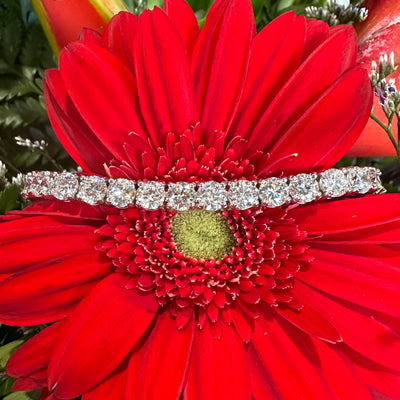Apparel & Accessories > Jewelry > Bracelets 16.89 Total Carat Diamond 14K White Gold Tennis Bracelet Pierce Custom Jewelers