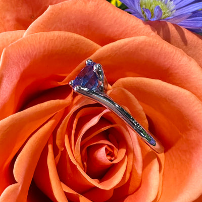 Apparel & Accessories > Jewelry > Rings Sapphire Solitaire 14K White Gold Engagement Ring Pierce Custom Jewelers