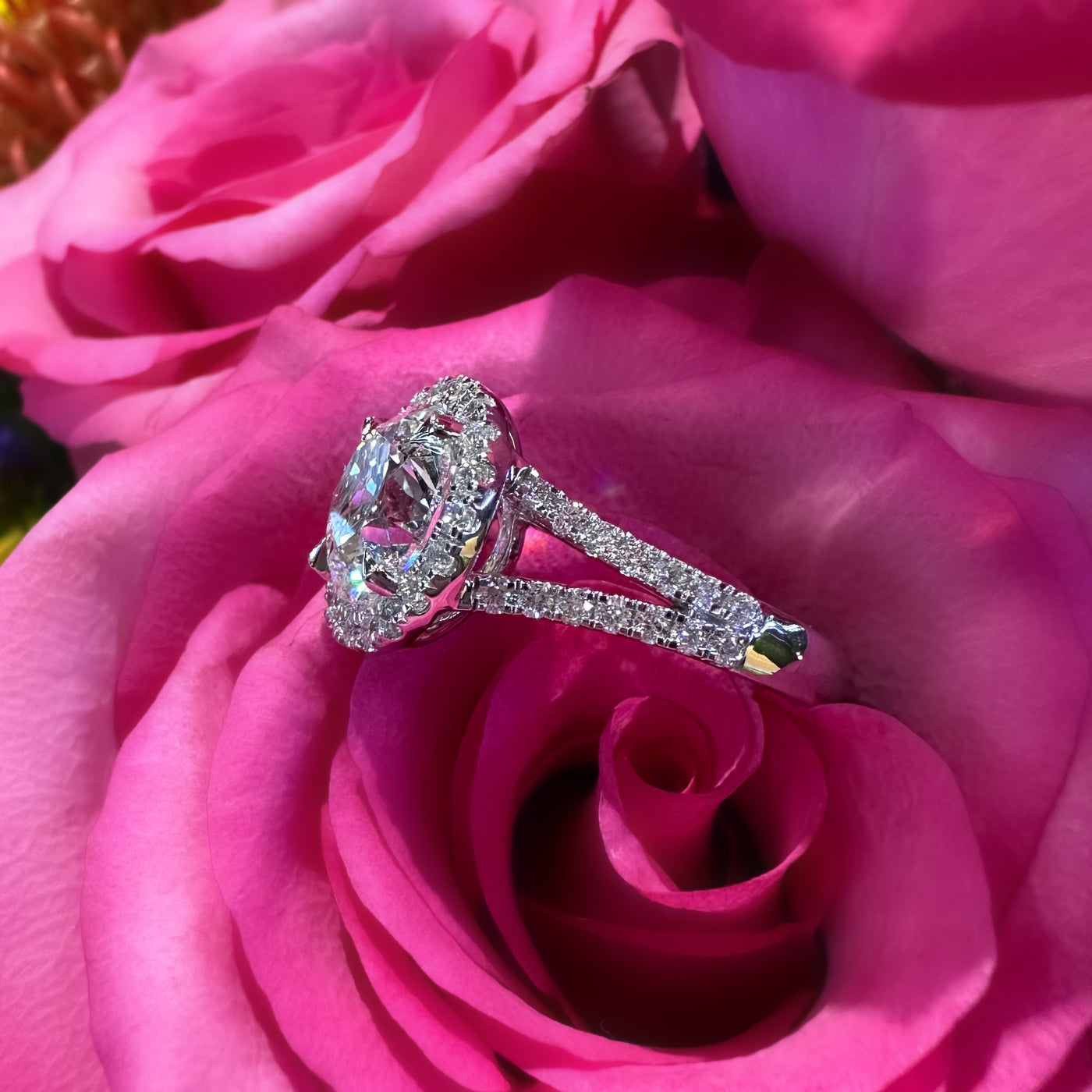  Apparel & Accessories > Jewelry > Rings Ready to Wear Diamond Halo 14K White Gold Engagement Ring Pierce Custom Jewelers