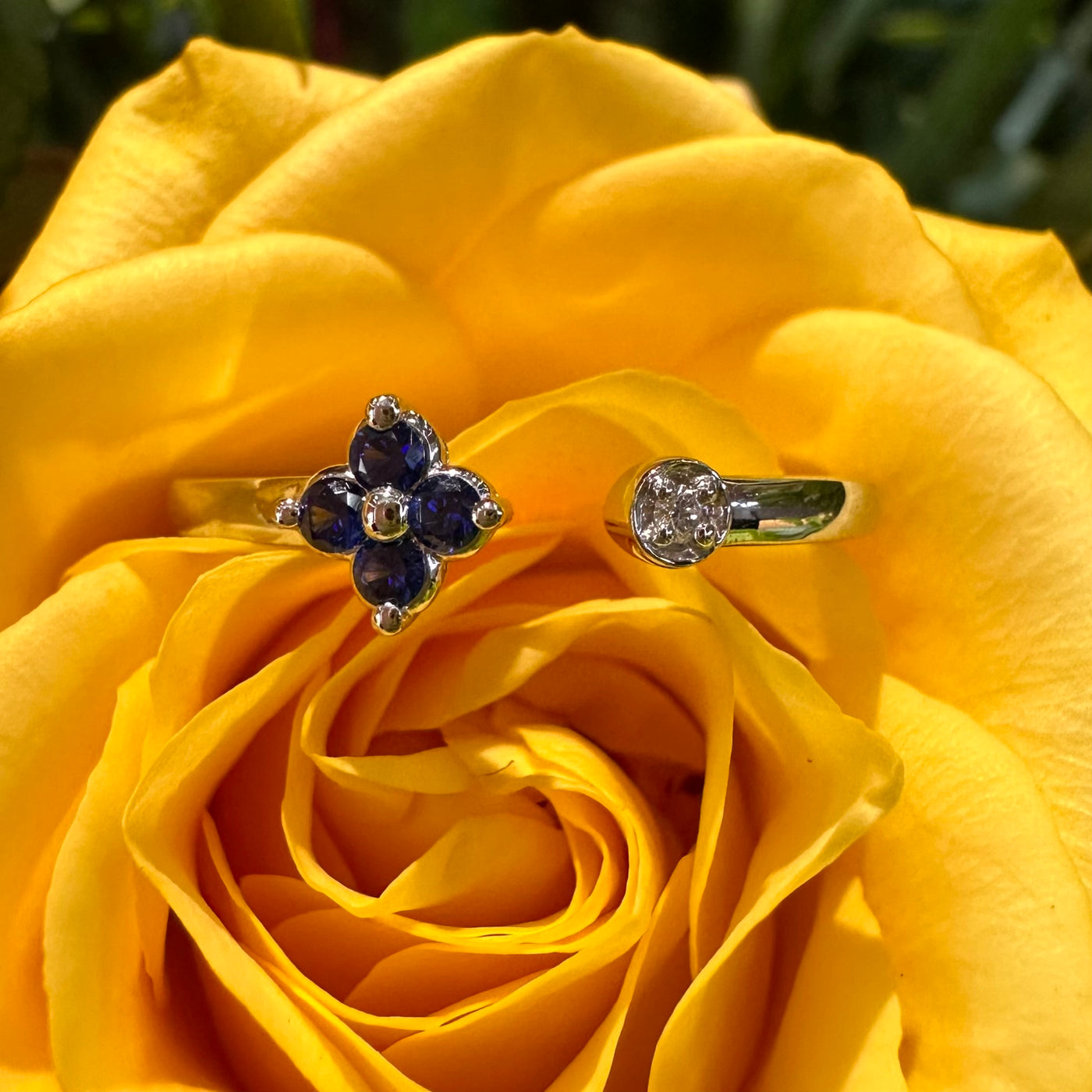  Apparel & Accessories > Jewelry > Rings Zeghani Zeghani Sapphire Diamond Open 14K White Gold Ring ZR2151 Pierce Custom Jewelers