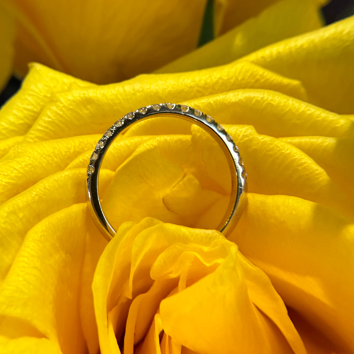 Apparel & Accessories > Jewelry > Rings Diamond Half Eternity 14K Yellow Gold Band Ring Pierce Custom Jewelers