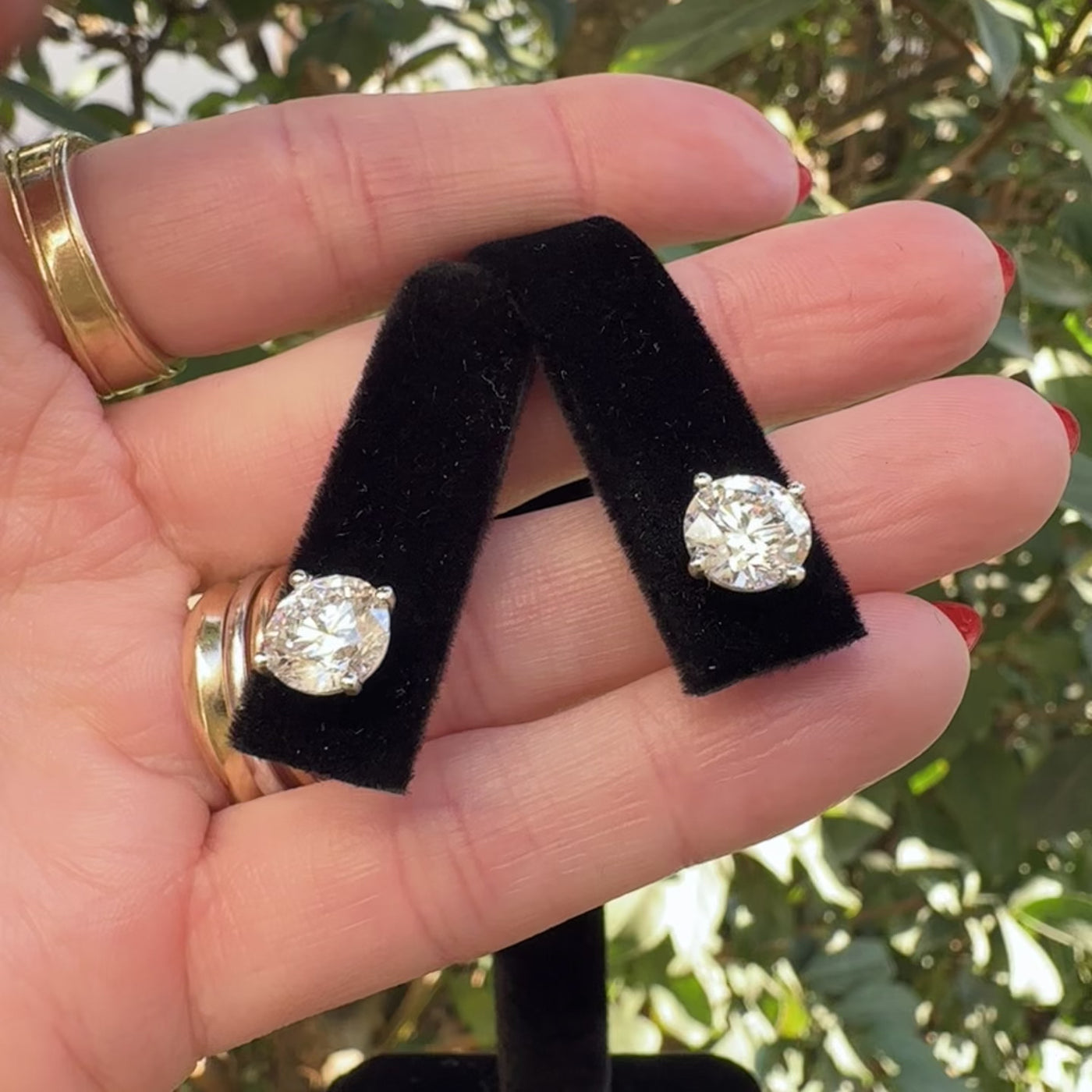 Apparel & Accessories > Jewelry > Earrings Diamond Stud Earrings 14K White Gold 3.12 Total Carats Pierce Custom Jewelers