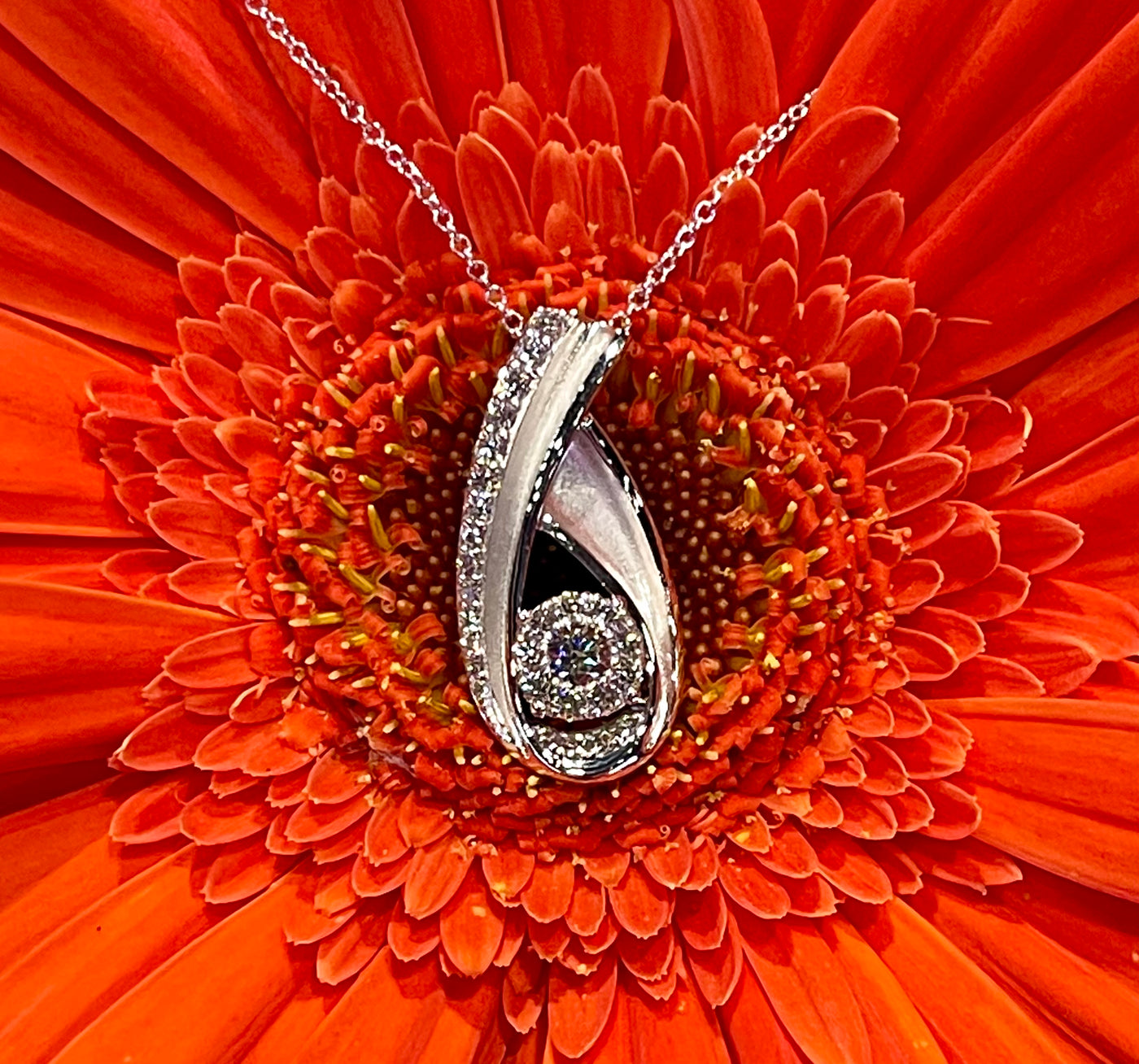 Apparel & Accessories > Jewelry > Necklaces Simon G Diamond Pendant LP4530 Pierce Custom Jewelers