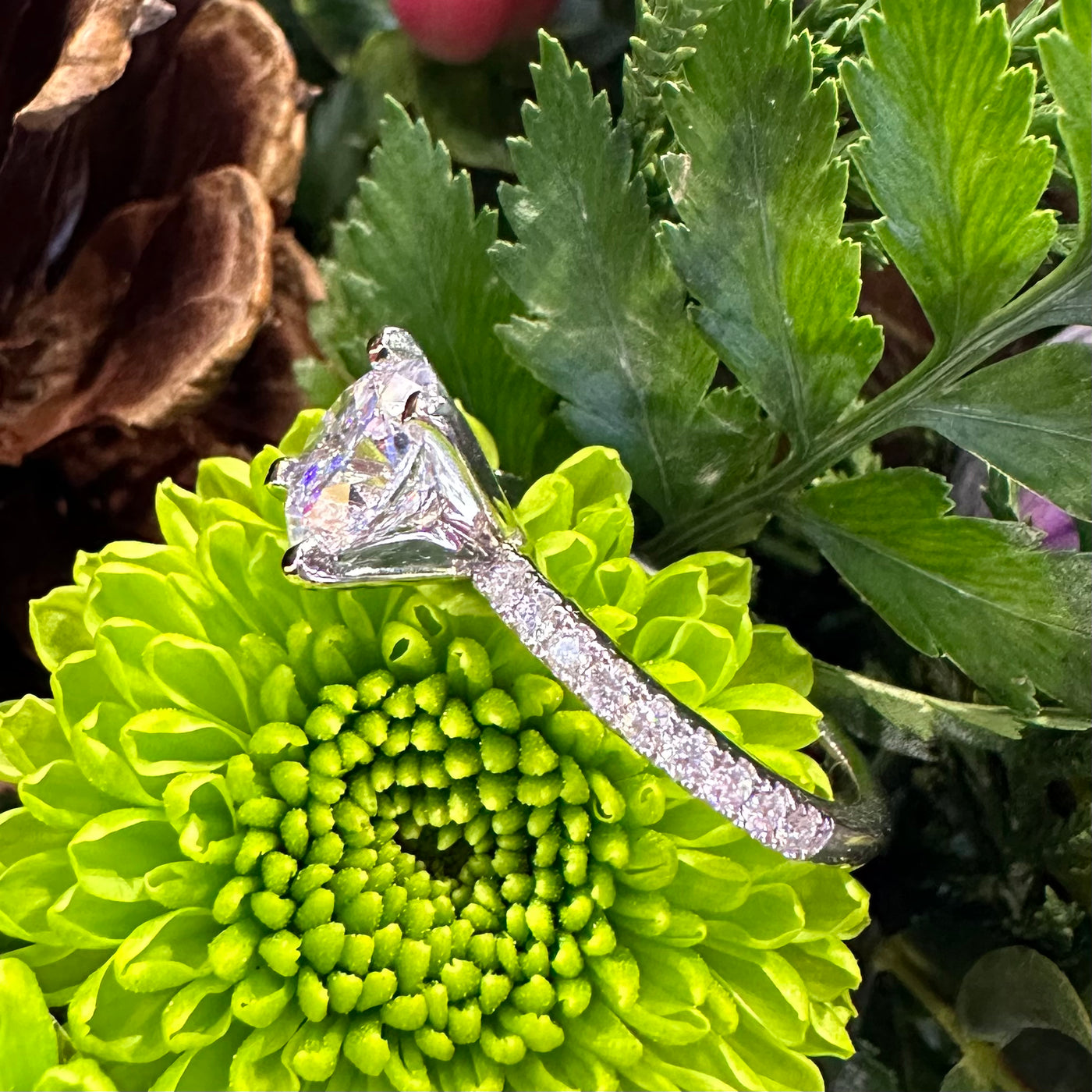 Apparel & Accessories > Jewelry > Rings Classic Diamond Band 14K White Gold Semi Mount Engagement Ring Pierce Custom Jewelers