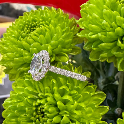  Apparel & Accessories > Jewelry > Rings Diamond Halo 14K White Gold Semi-Mount Engagement Ring Pierce Custom Jewelers