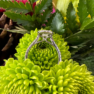 Apparel & Accessories > Jewelry > Rings Emerald Diamond Halo 14K White Gold Engagement Ring Pierce Custom Jewelers
