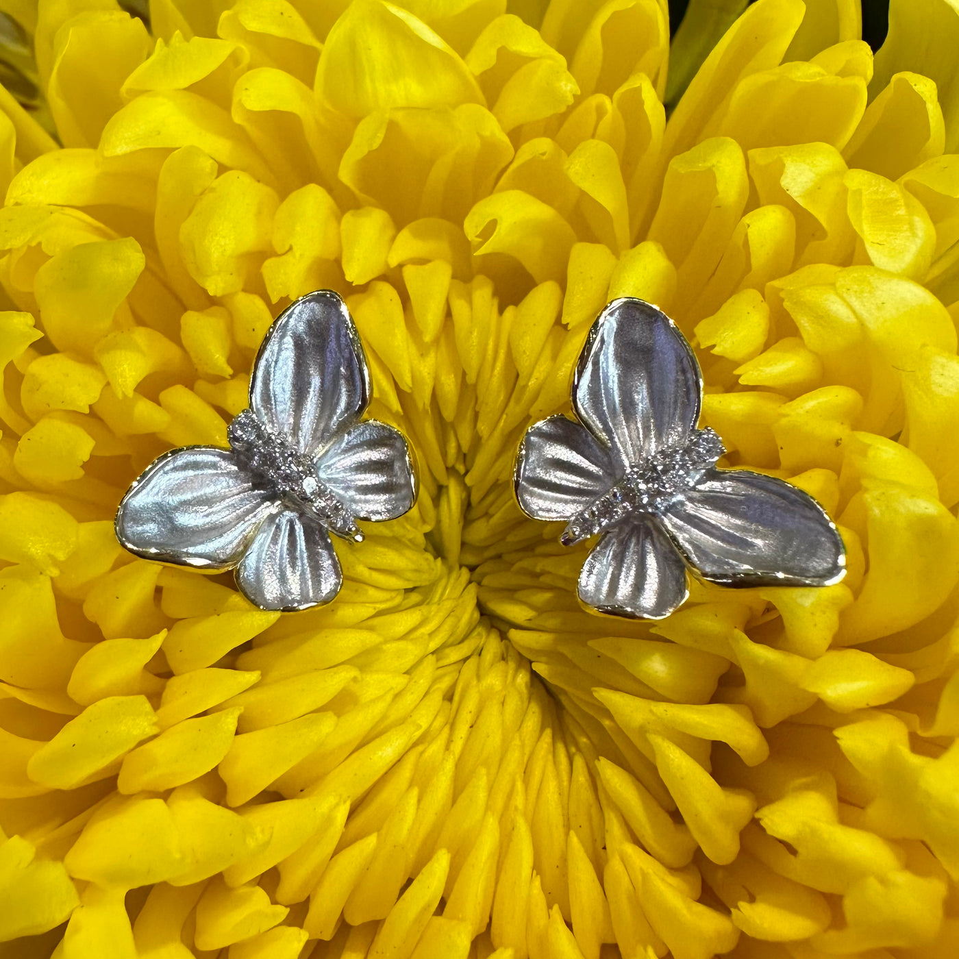 Simon G Butterfly Earrings with Diamond Accents in 18K Two Tone Gold DE267-G