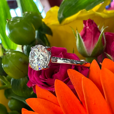 Apparel & Accessories > Jewelry > Rings Solitaire Diamond 18K White Gold Engagement Ring Pierce Custom Jewelers